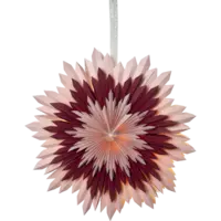 501-83_FL_001.png