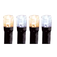 498-07_FL_001.png