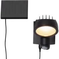 481-66_FL_001.png