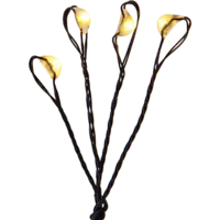 728-29_FL_001.png