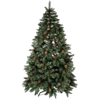 610-50_FL_002.png