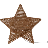 257-56_FL_002.png