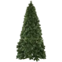 610-09_FL_001.png