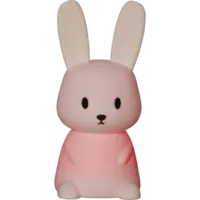 357-66_FL_002.png