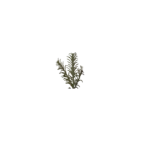 606-34_FL_002.png