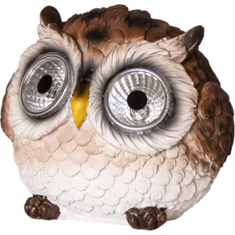 Display Solcell Owl