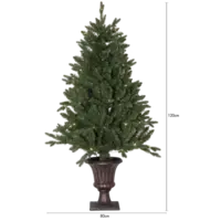 606-80-1_MT.png