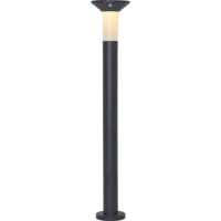 481-17_FL_003.png