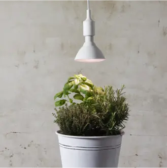 LED-lampa E27 PAR38 Plant Light