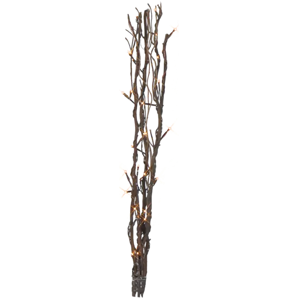 584-31_MN.png
