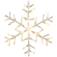 583-96_FL_001.png