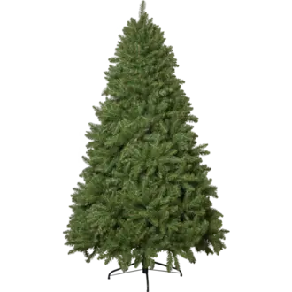 Julgran Narvik