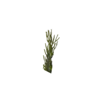 612-52,612-53_FL_001.png