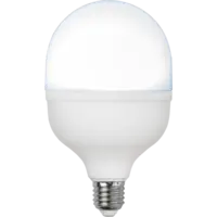 364-24_FL_001.png