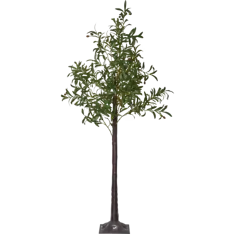 Dekorationsträd Olivec