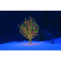 484-01-80_MB_001.png