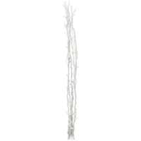 584-03_FL_001.png