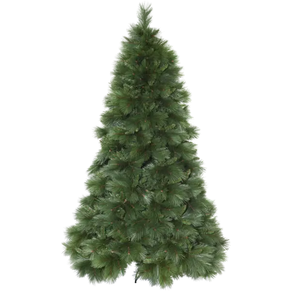 610-08_MN.png