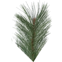 610-08_FL_002.png