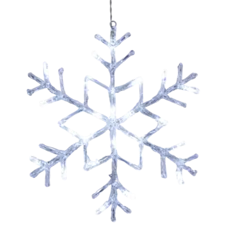 Snöflinga Antarctica
