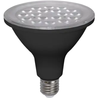 LED-lampa E27 PAR38 Spotlight Outdoor