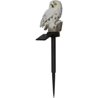 482-25_FL_002.png
