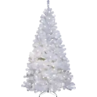 608-12_FL_001.png