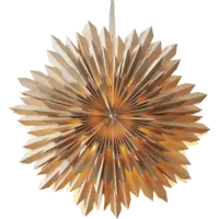 501-81-1_FL_001.png