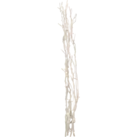 584-30_FL_001.png