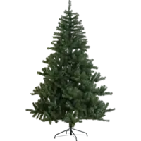 607-60-1_FL_001.png
