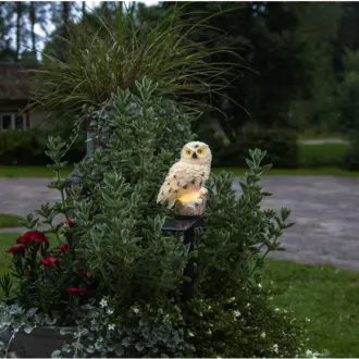 Solcellsdekoration Owl