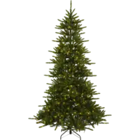 608-63_FL_001.png