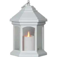 061-33_FL_001.png