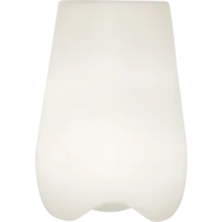 803-79_FL_004.png
