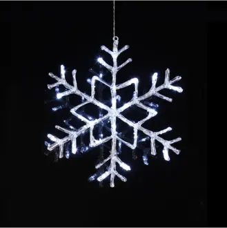 Snöflinga Antarctica