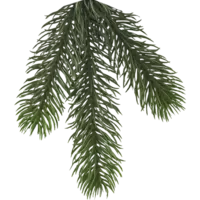 606-09_FL_002.png