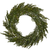 612-53_FL_001.png