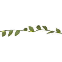 729-09_FL_001.png