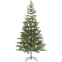 606-29_FL_001.png