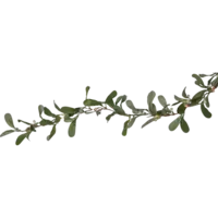 612-93_FL_001.png