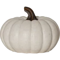 857-16_FL_002.png