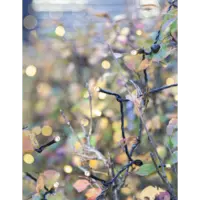 495-12_MB_002.png