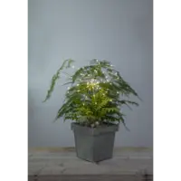 710-32_MB_002.png