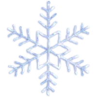 583-95_FL_001.png