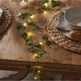 Ljusslinga Ivy