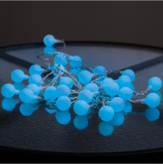 Ljusslinga Berry