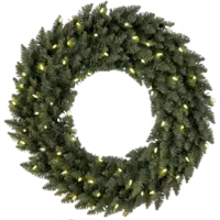 612-61_FL_002.png
