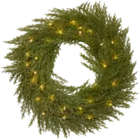 612-42_FL_002.png
