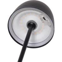 803-18_FL_005.png