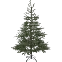 606-35_FL_001.png